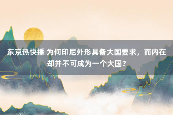 东京热快播 为何印尼外形具备大国要求，而内在却并不可成为一个大国？