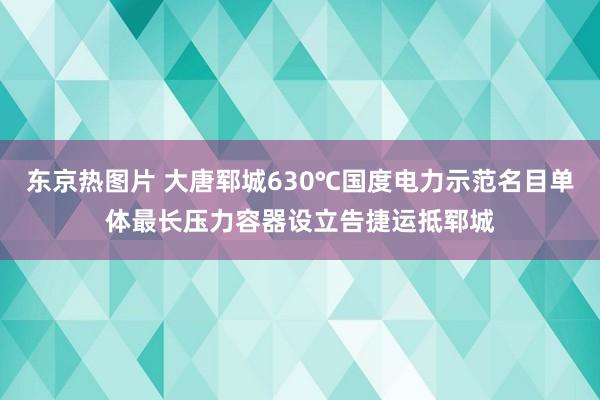 东京热图片 大唐郓城630℃国度电力示范名目单体最长压力容器设立告捷运抵郓城