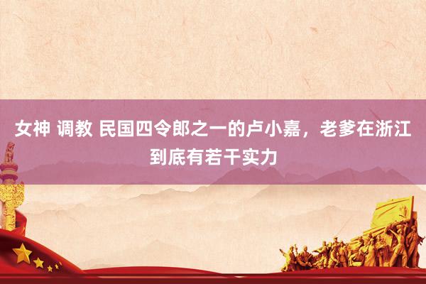 女神 调教 民国四令郎之一的卢小嘉，老爹在浙江到底有若干实力