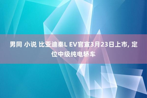 男同 小说 比亚迪秦L EV官宣3月23日上市， 定位中级纯电轿车