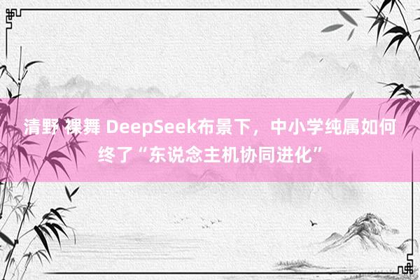 清野 裸舞 DeepSeek布景下，中小学纯属如何终了“东说念主机协同进化”