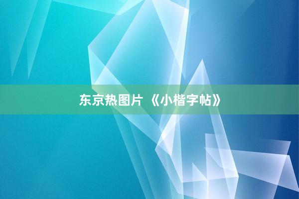东京热图片 《小楷字帖》